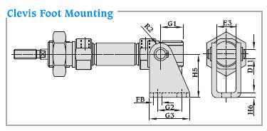 Clevis Foot Mounting