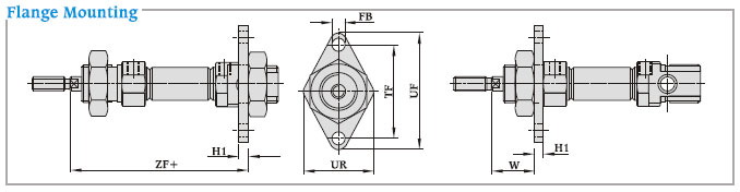 Flange Mounting