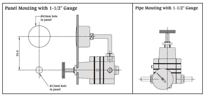 Panel Mounting with Gauge