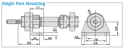 Single Foot Mounting